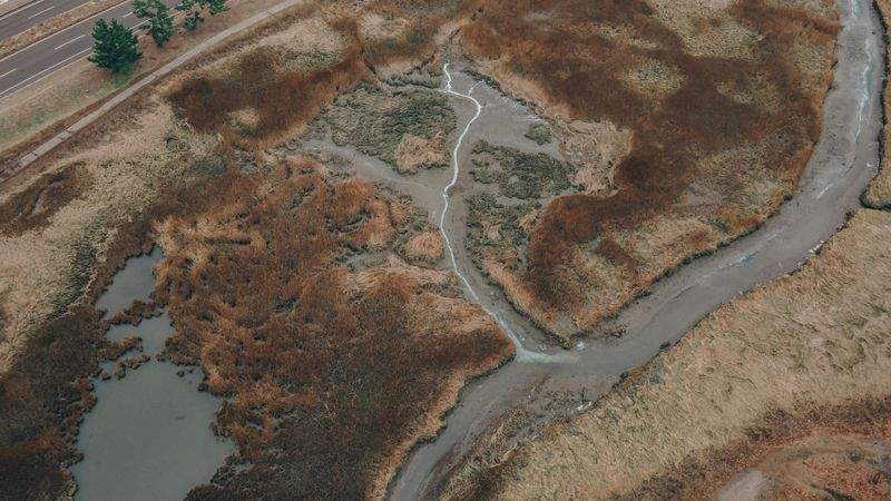 持続可能な未来へ：エコロジカルな選択