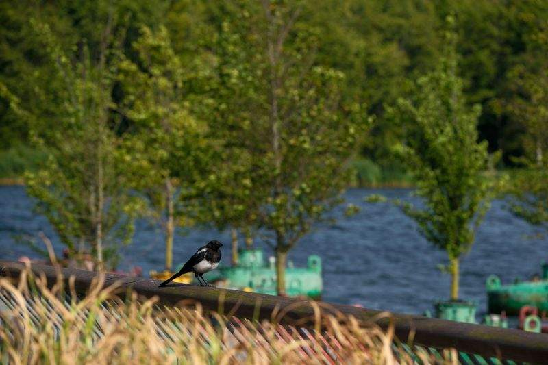 グリーンフューチャー株式会社 - Image 12