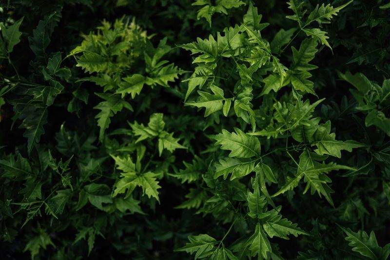 グリーンフューチャー株式会社 - Image 13