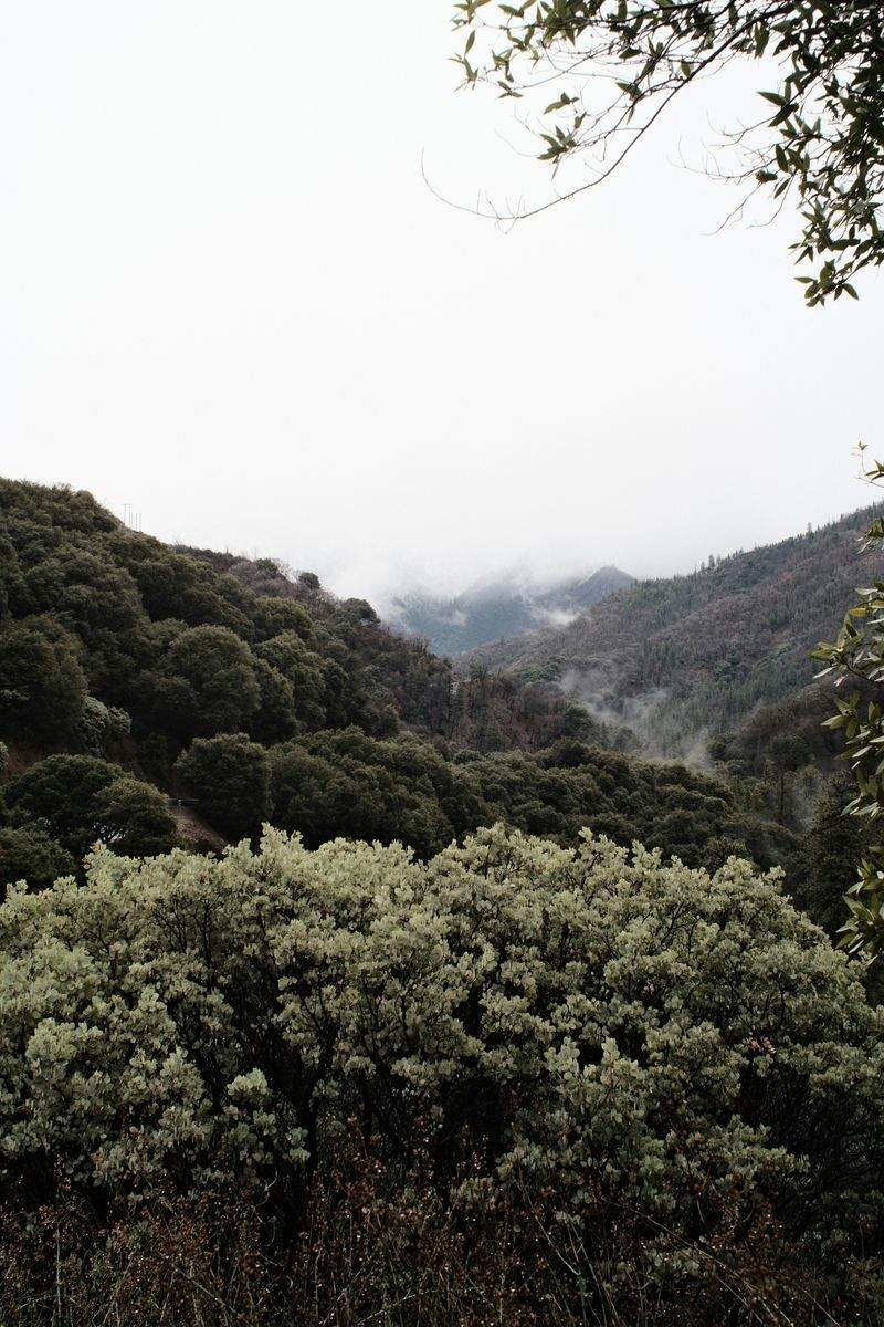 再生可能エネルギー導入支援