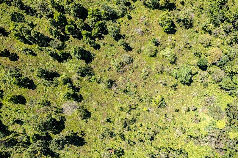 環境教育セミナー